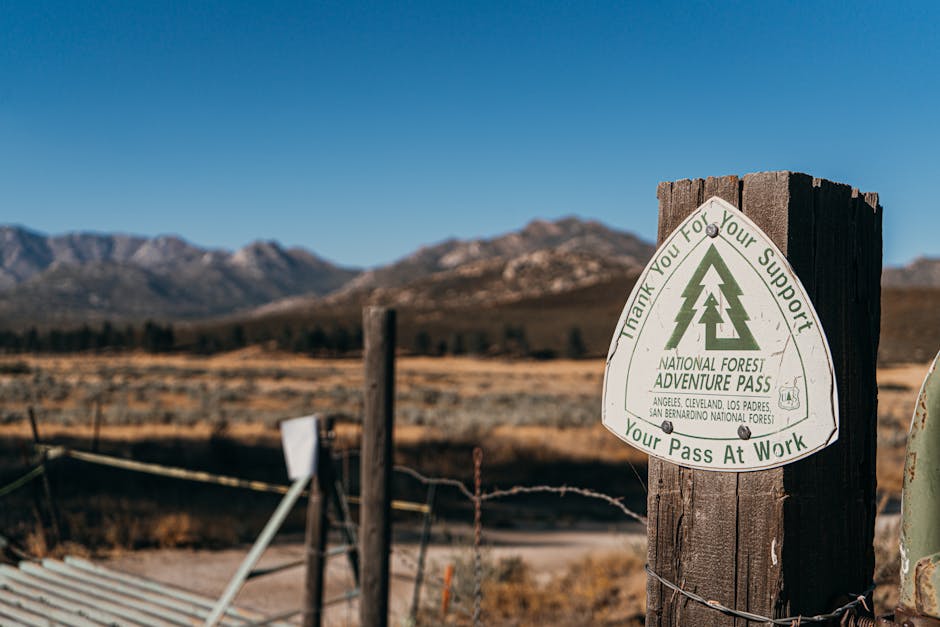 wilderness permits california