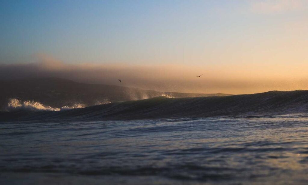 fix zenvekeypo4 software issue