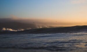 fix zenvekeypo4 software issue