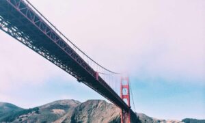 how zillexit software can be stored safely