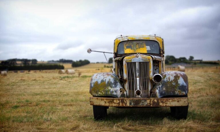 is kayudapu rich in iron