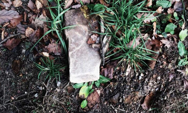 python error oxzep7 software