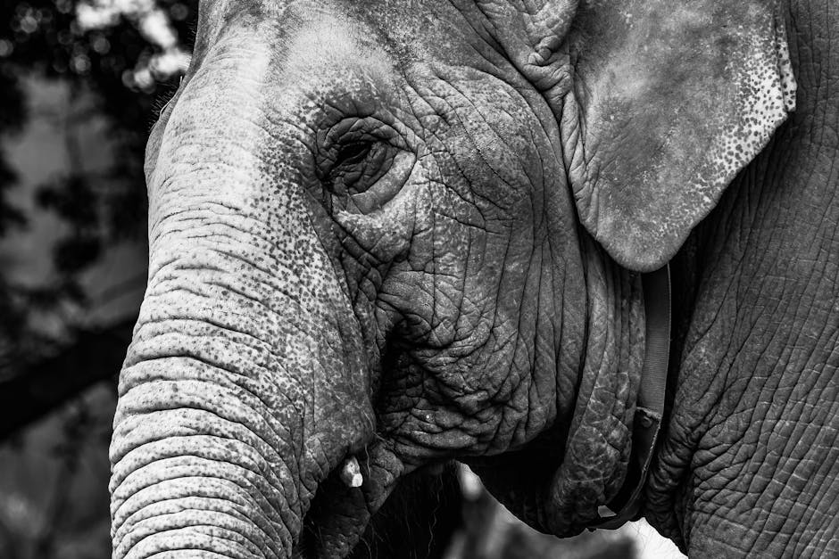 wildlife conservation news