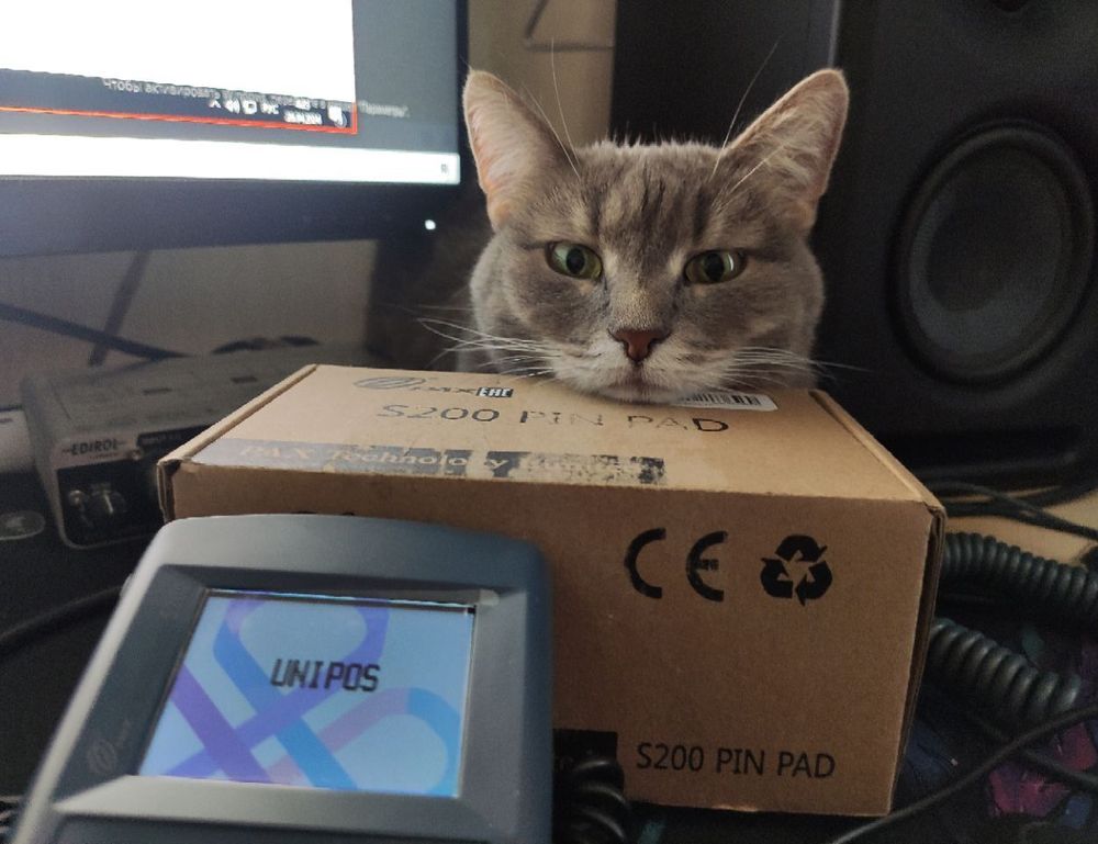 what is coszamdete capital partner account analysis