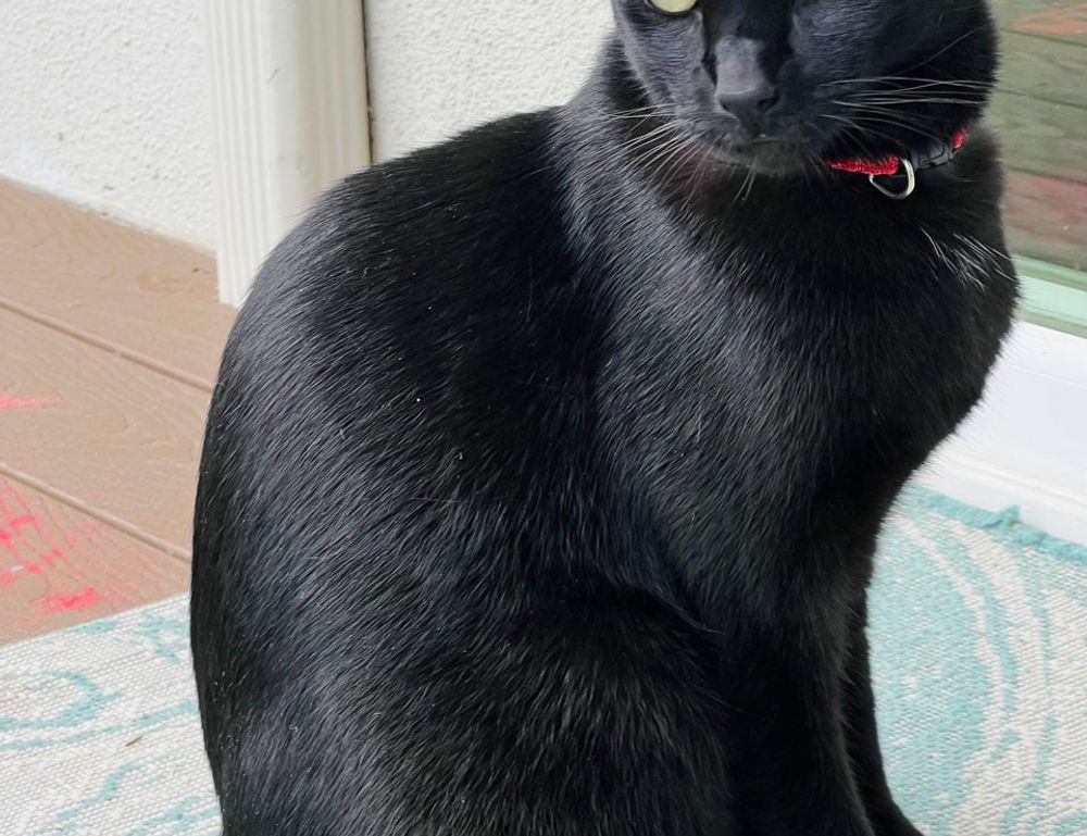 why is lake yiganlawi famous