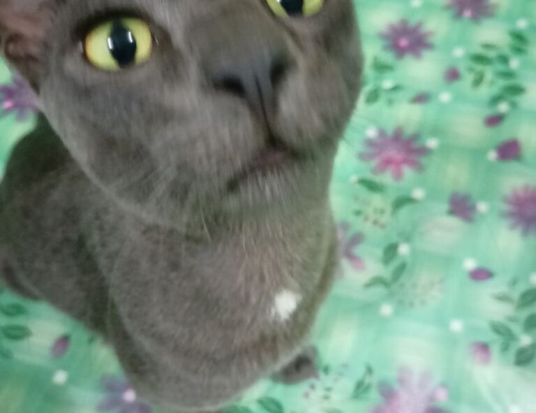 yex382v3yte air conditioner