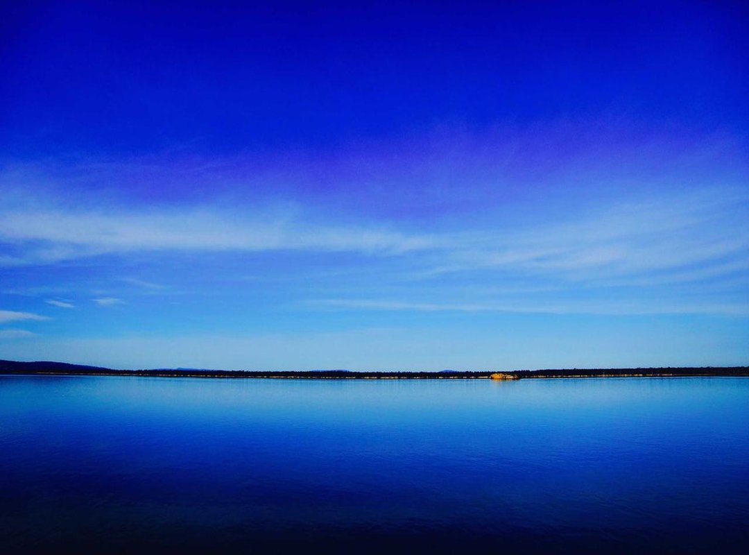 The Honest Review: Pros and Cons of 1xBet's Streaming Service