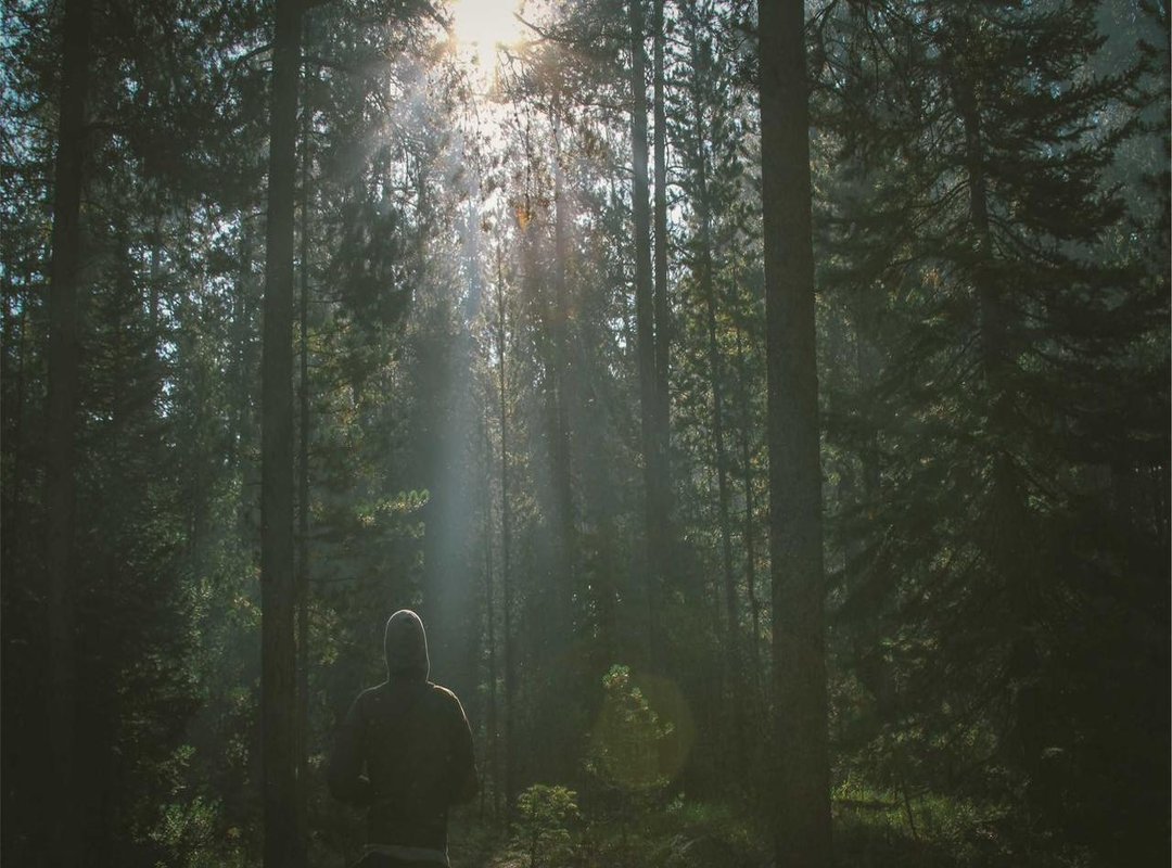 Putting It All Together: Using Your PNG in Creative Projects