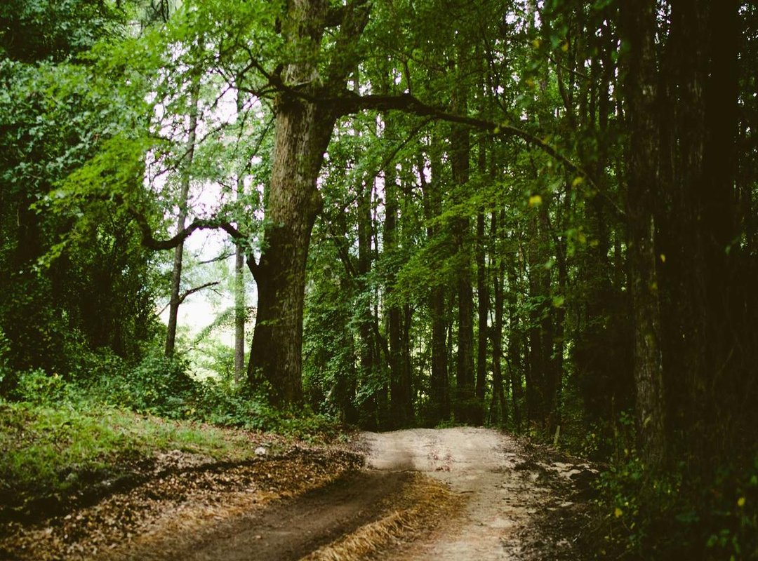 Life After the Split: Where Are They Now?