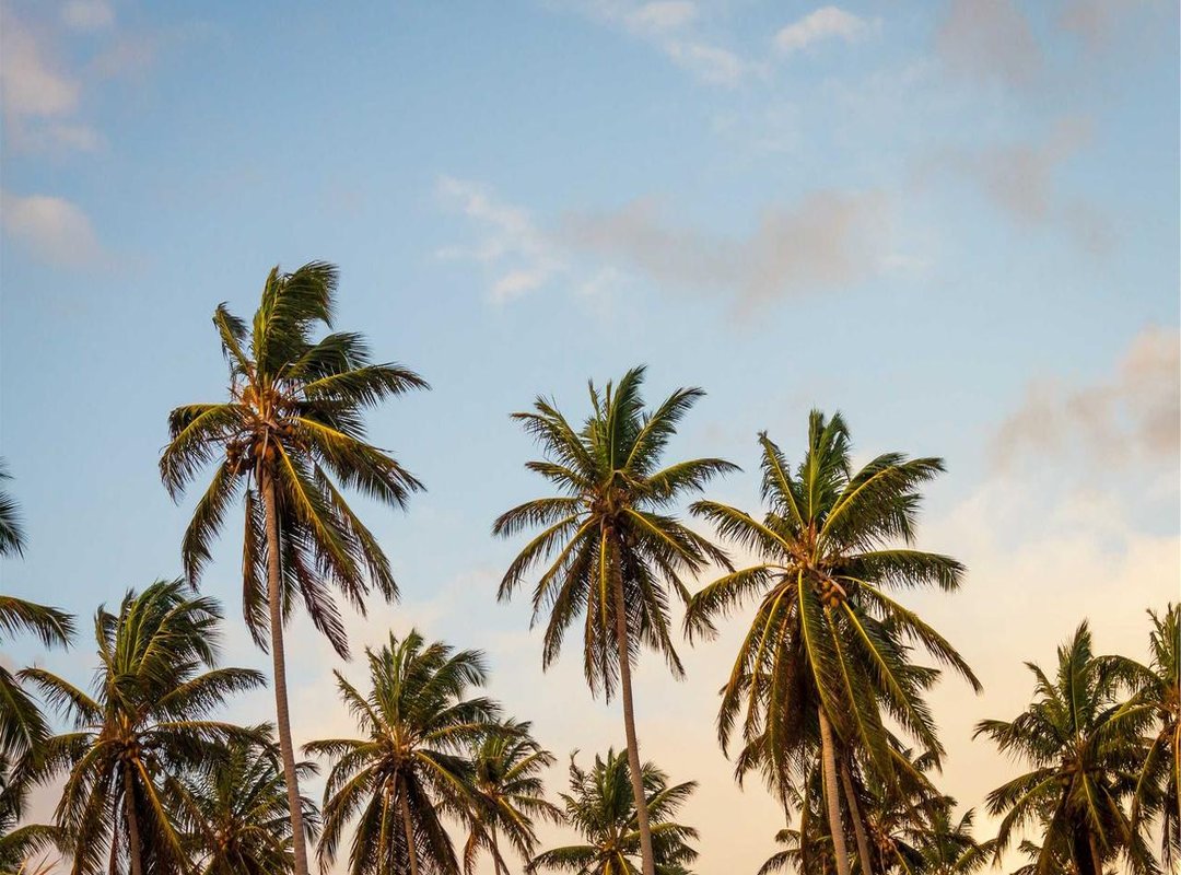 Managing Parkinson's Disease: Julian McMahon's Approach