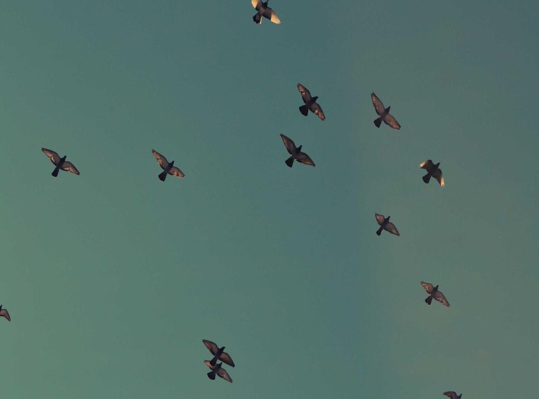 Decoding the Symbolism: What the 'Waterfall' Artwork Really Means