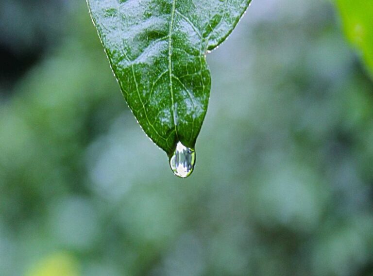 michael schulte x r3hab - waterfall - album art