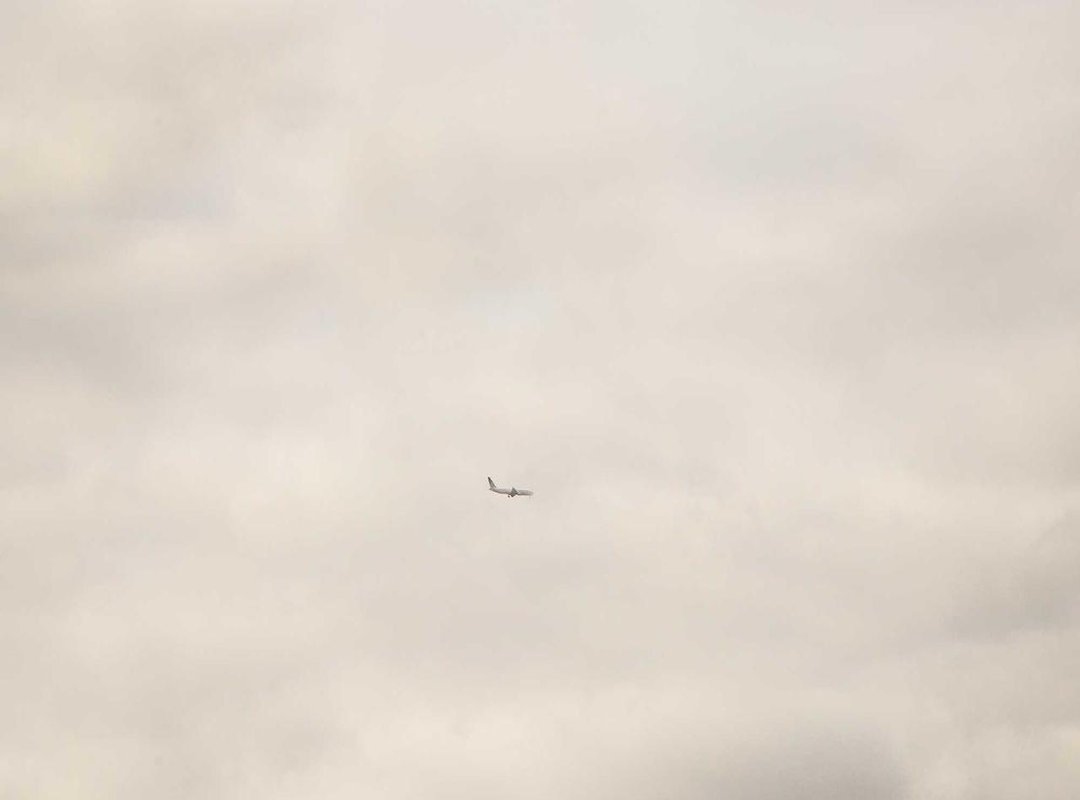 Life After Reunion: Adjusting and Moving Forward