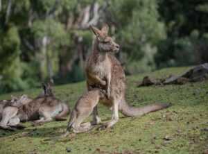 michelle knight joey reunited