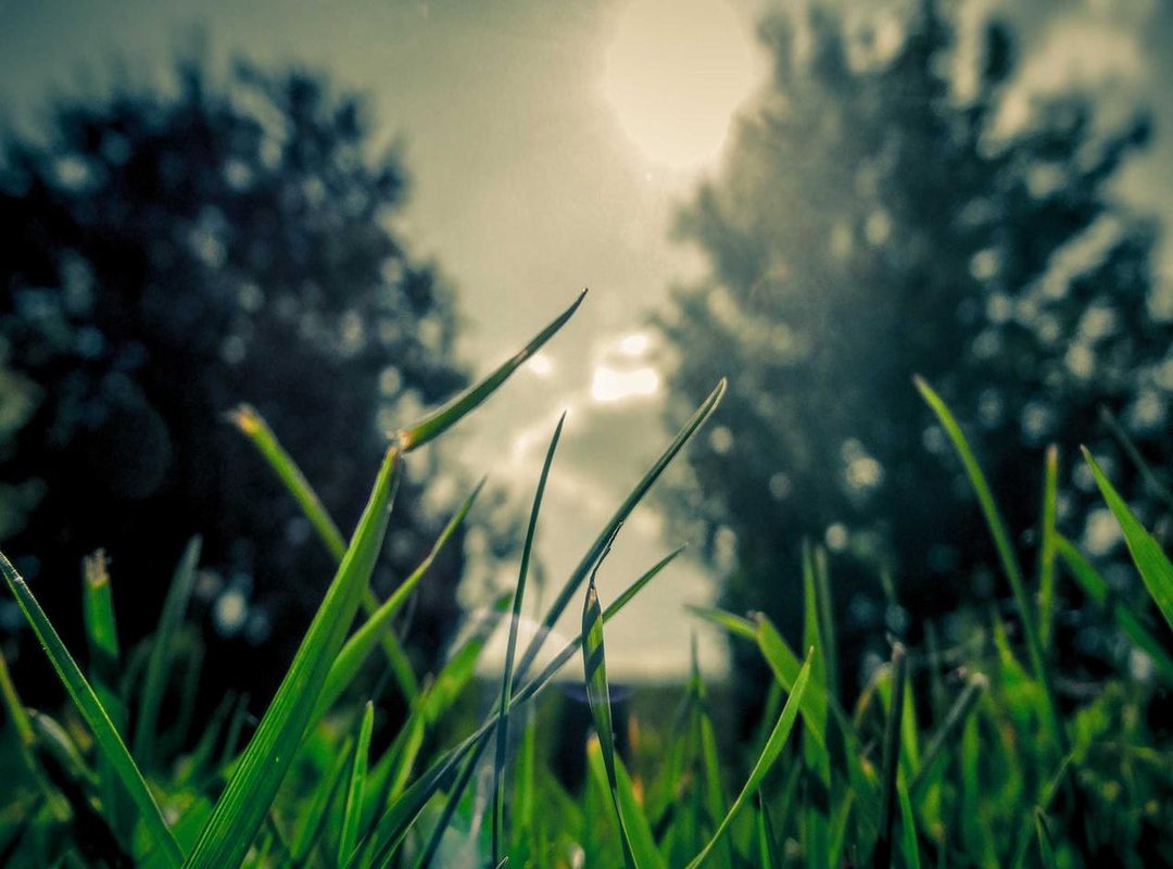 Identifying Problematic Language: From Obvious to Subtle