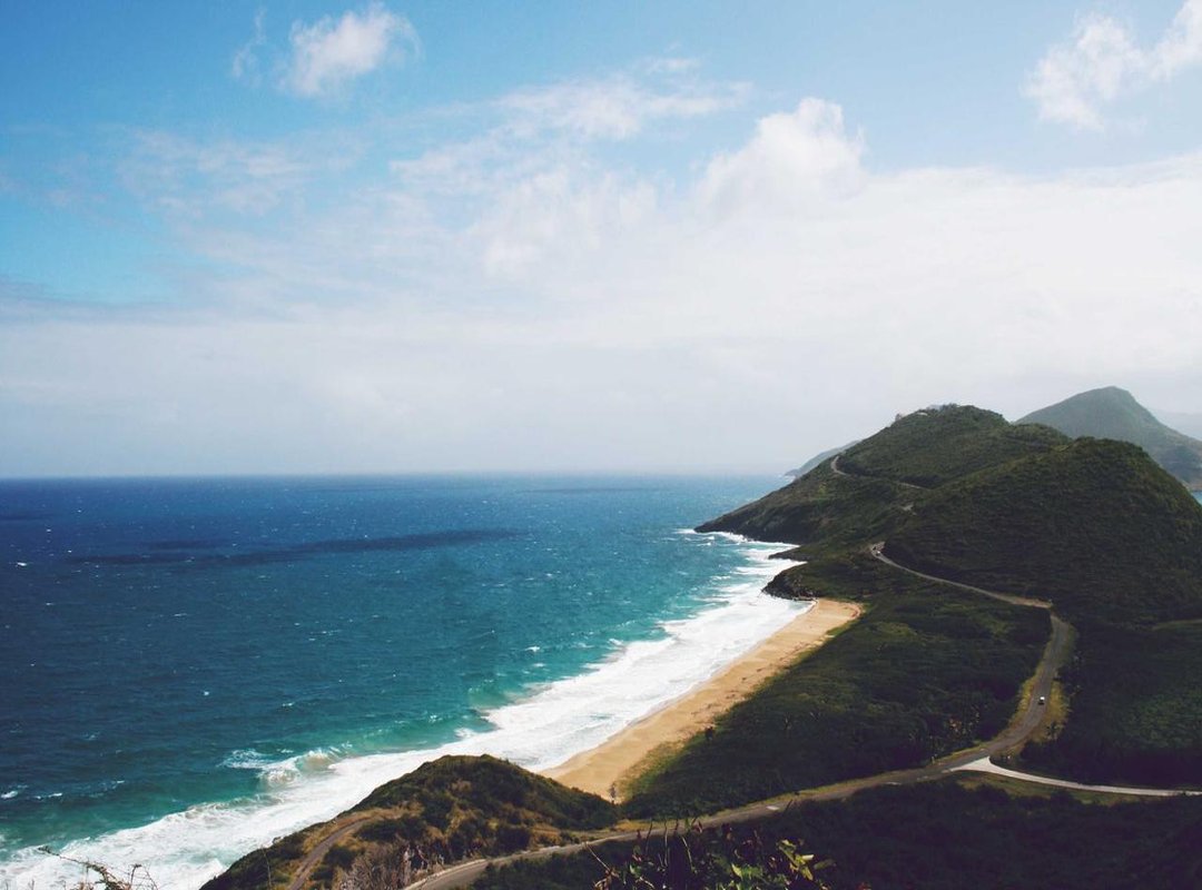 An International Tour: Unique 'I' Vegetables from Around the Globe