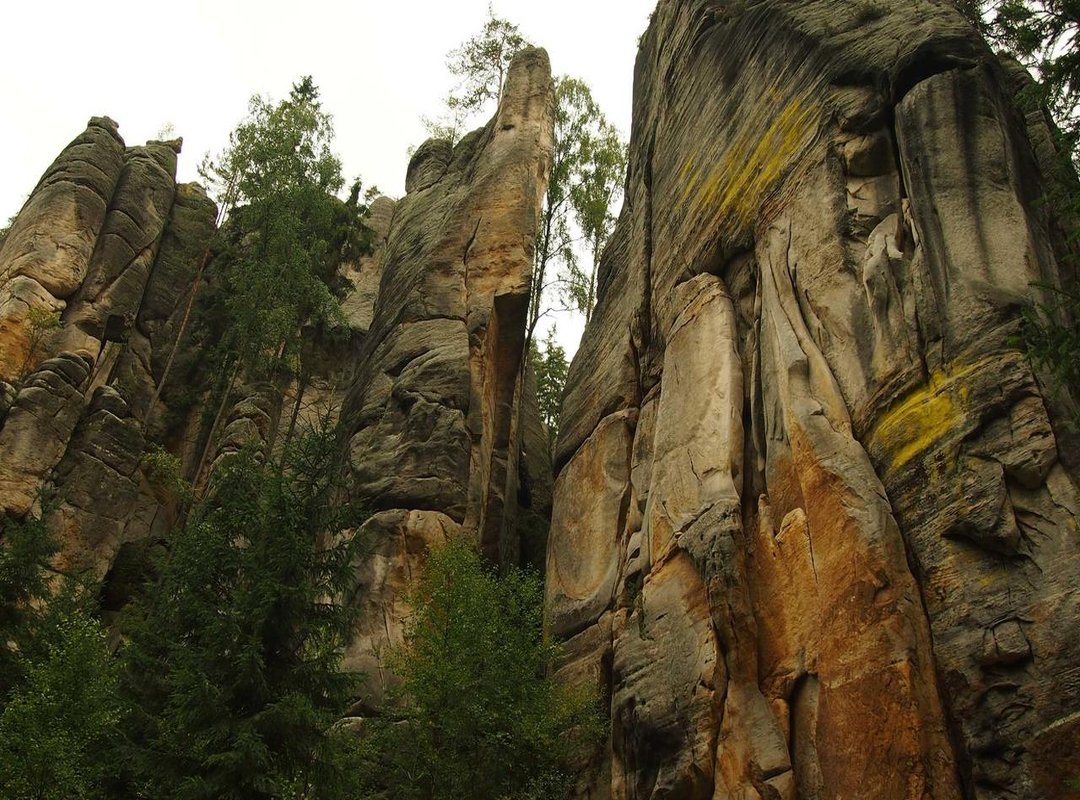 A Deep Dive into Her Instagram Feed: What to Expect