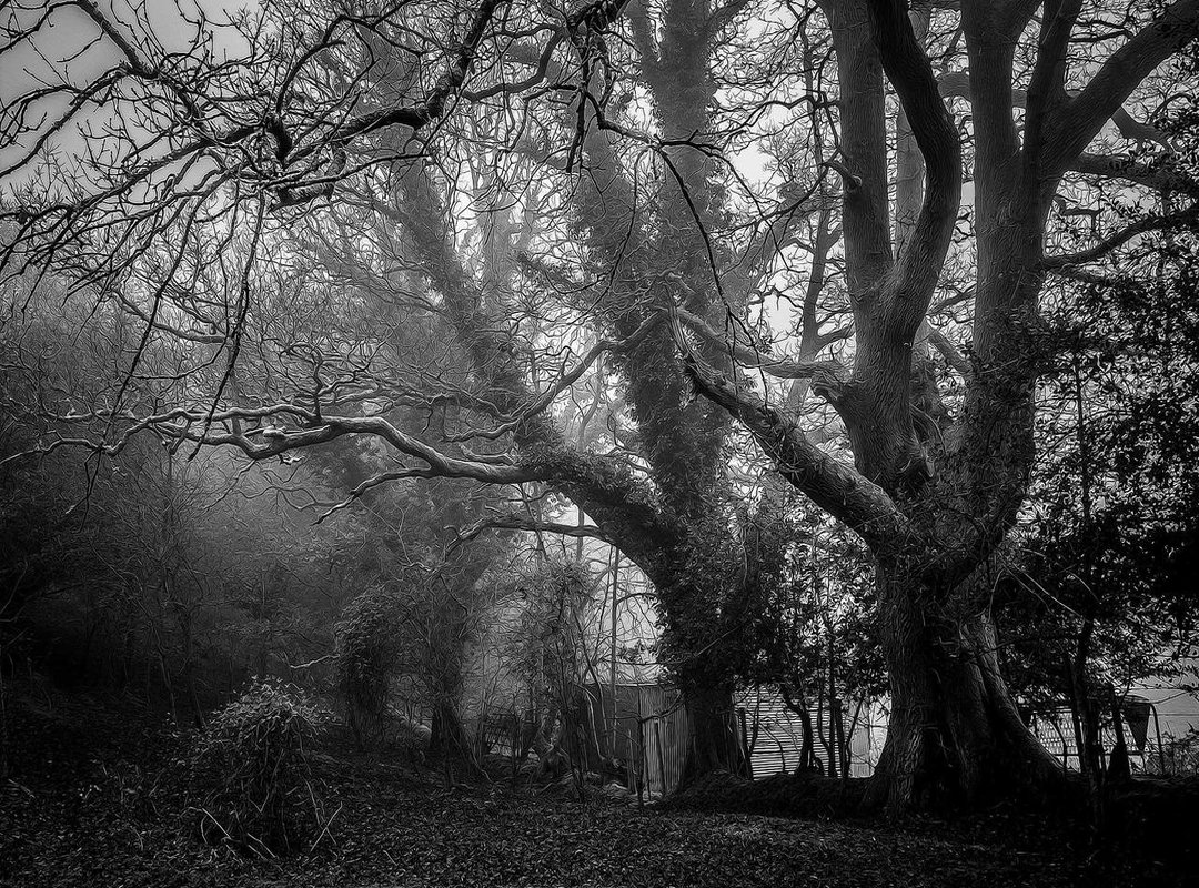 Step 4: Finishing Your Drawing with Clean Lines and Color