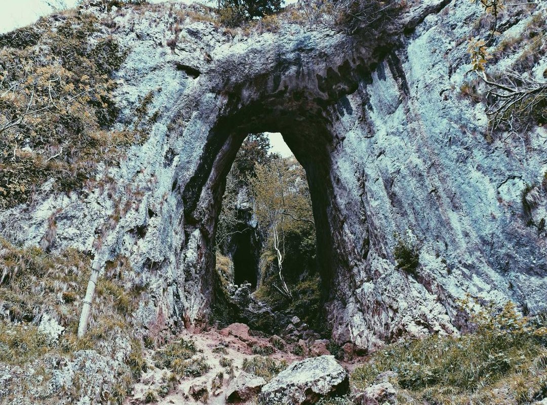 Get the Full Dutton Ranch Vibe: Essential Gear for Big Sky Country